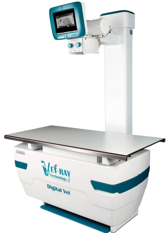 Vet-Ray Technology Digital Vet R/F Room
